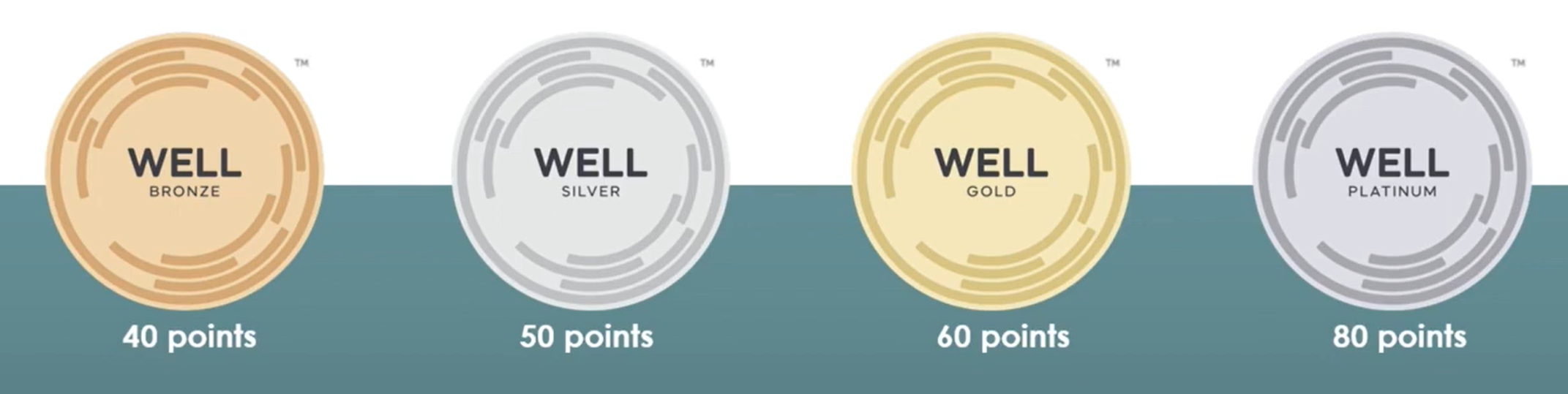 🏆 WELL项目申报执行计划